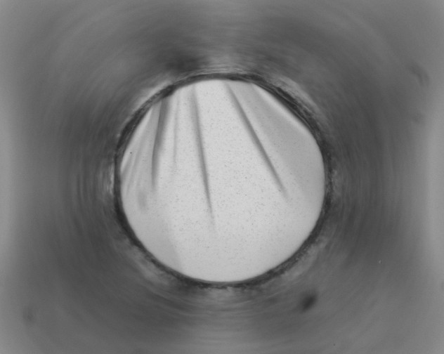 X0000113541220200910161405