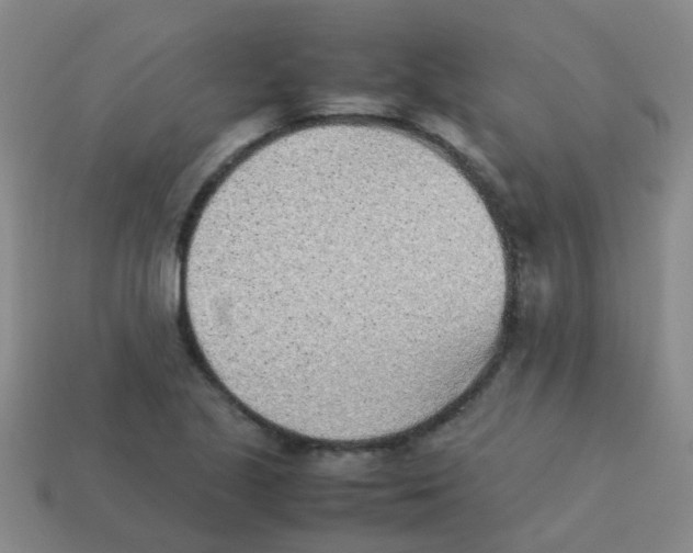 X0000113541221200910161405