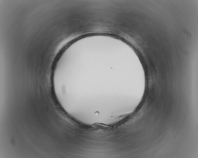 X0000113541222200910161405
