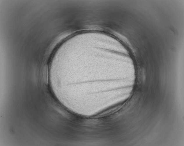 X0000113541223200910161405