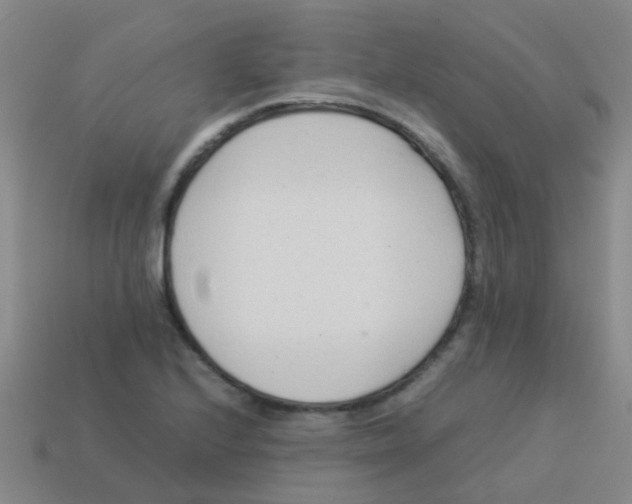 X0000113541224200910161405
