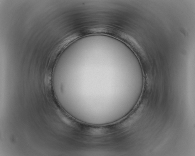 X0000113541225200910161405