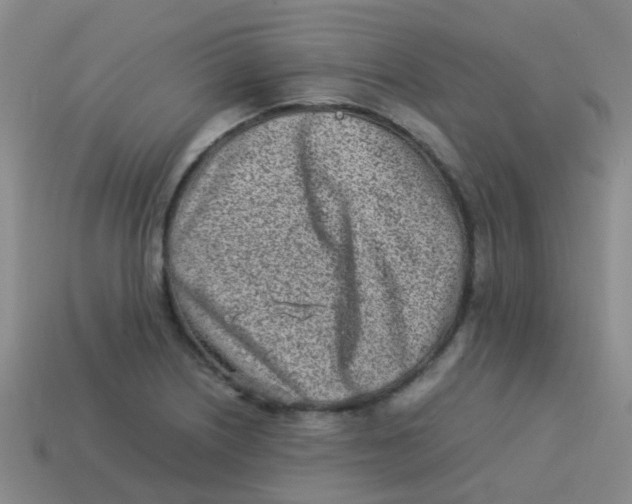 X0000113541226200910161405