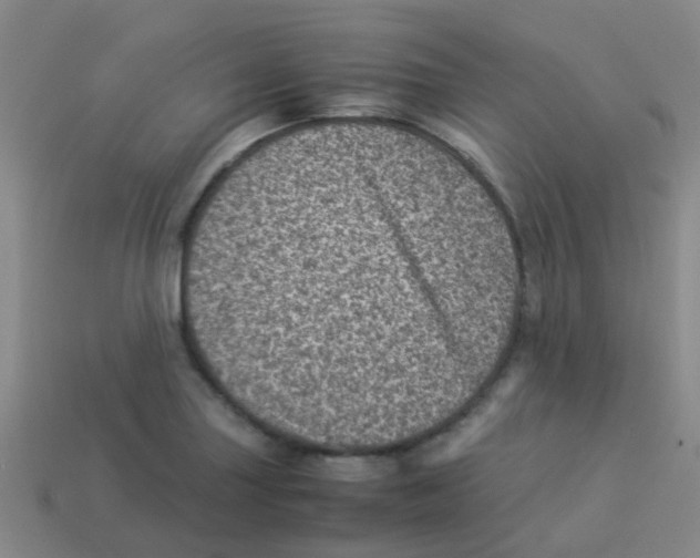 X0000113541227200910161405