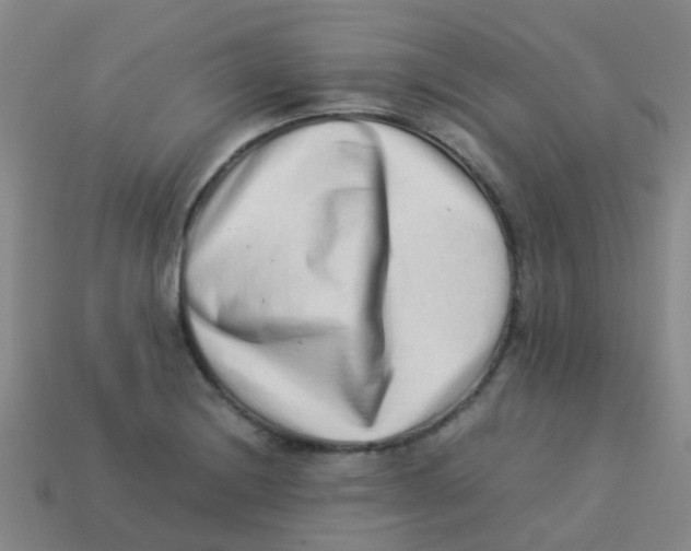X0000113541228200910161405