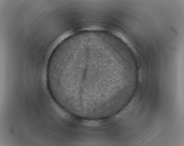 X0000113541229200910161405