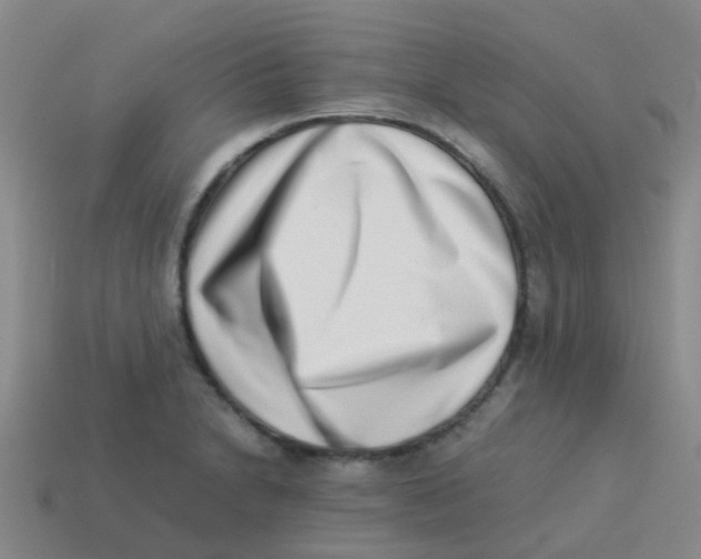 X0000113541230200910161405