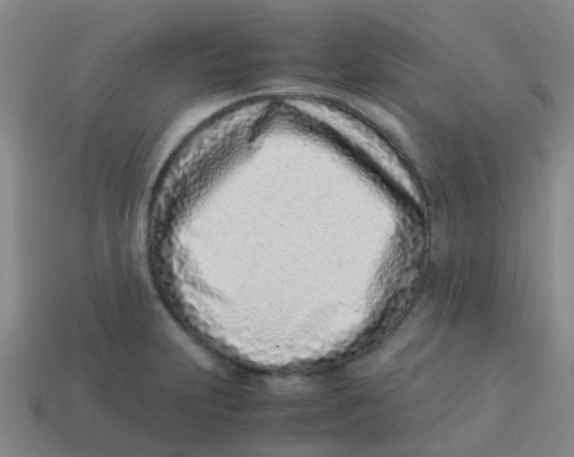 X0000113541231200910161405