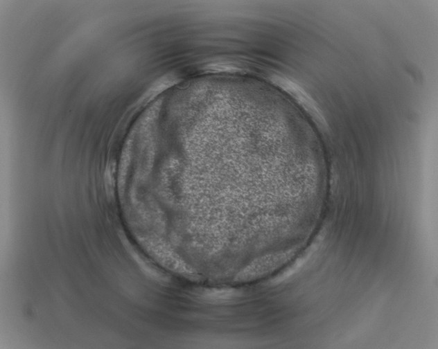 X0000113541233200910161405