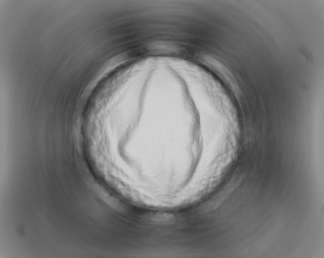 X0000113541235200910161405