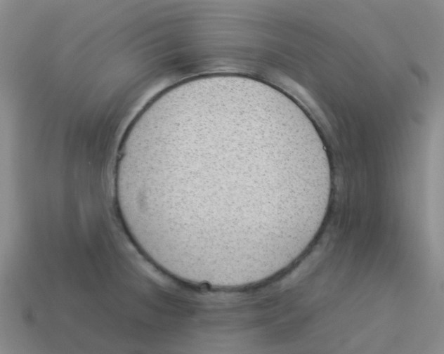 X0000113541236200910161405
