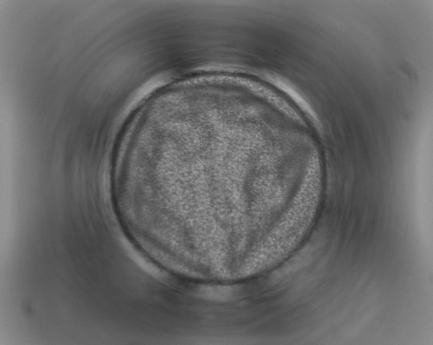 X0000113541237200910161405