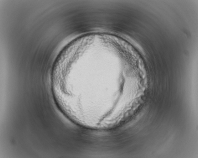 X0000113541239200910161405