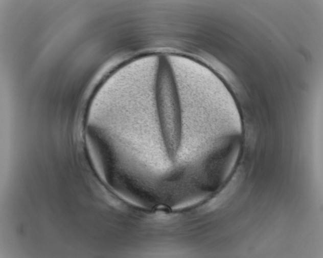 X0000113541240200910161405