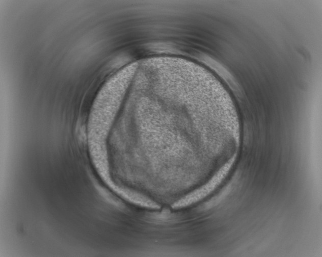 X0000113541241200910161405
