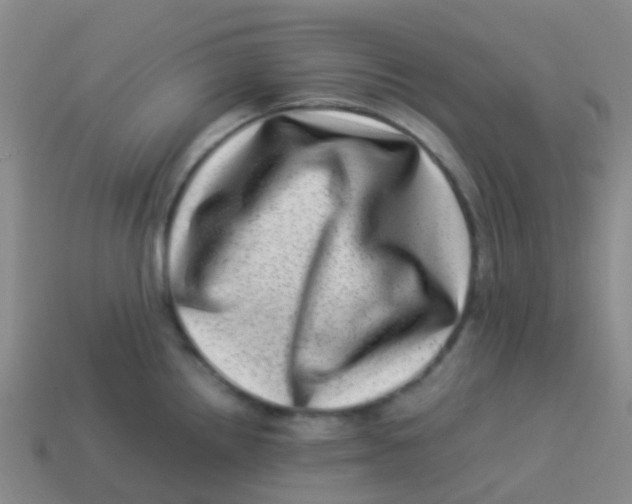 X0000113541242200910161405