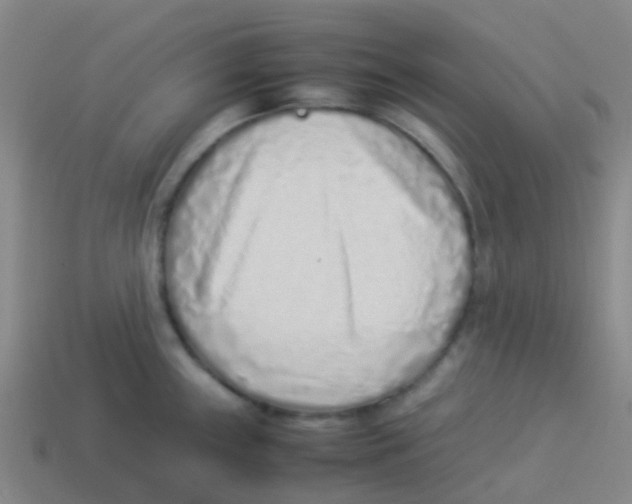 X0000113541243200910161405