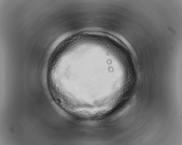 X0000113541245200910161405
