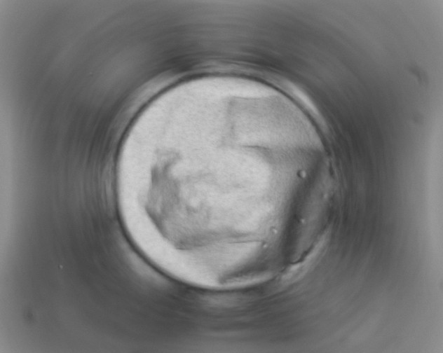 X0000113541247200910161405