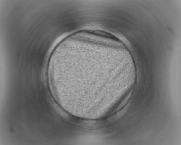X0000113541248200910161405