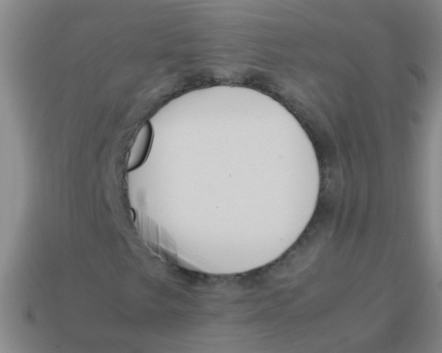 X0000113541249200910161404