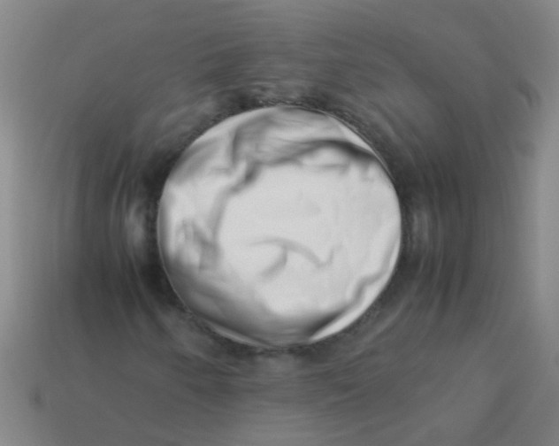 X0000113541250200910161404