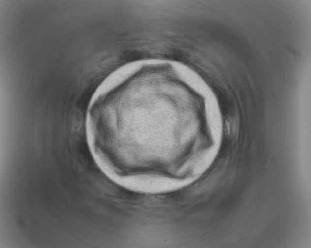 X0000113541251200910161404