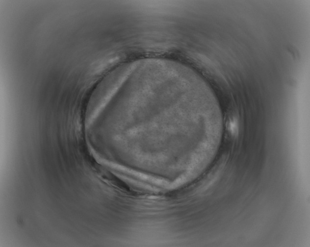 X0000113541252200910161404