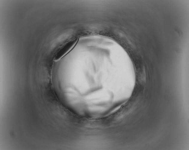 X0000113541253200910161404