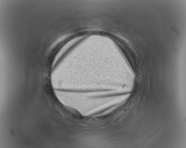 X0000113541255200910161404
