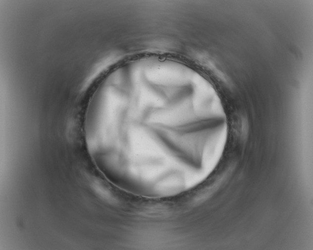 X0000113541256200910161404