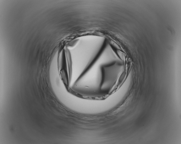 X0000113541257200910161404