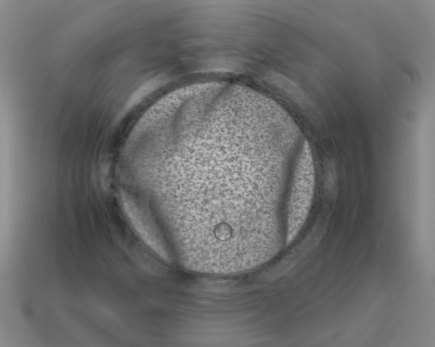 X0000113541258200910161404