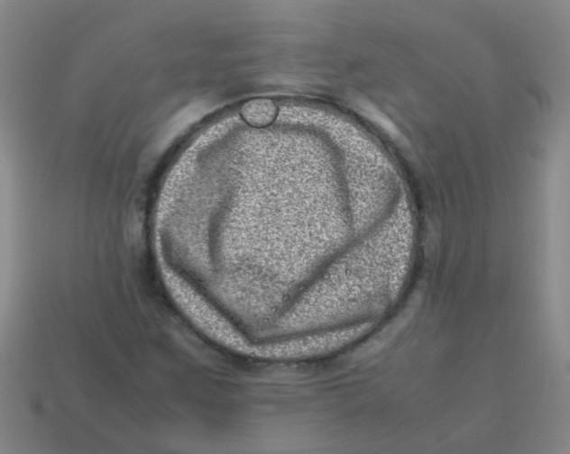 X0000113541259200910161404