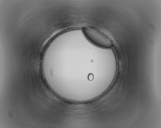 X0000113541260200910161404