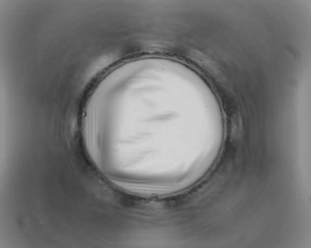 X0000113541261200910161404