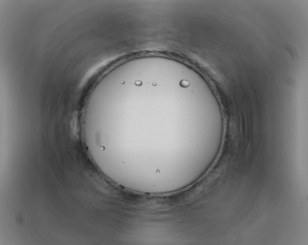 X0000113541262200910161404