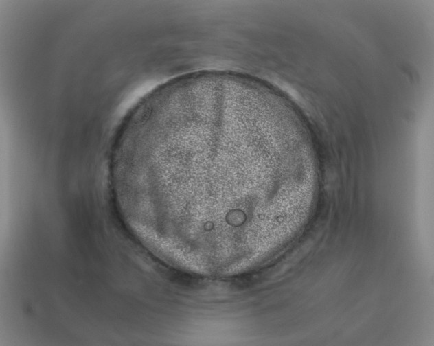 X0000113541263200910161404