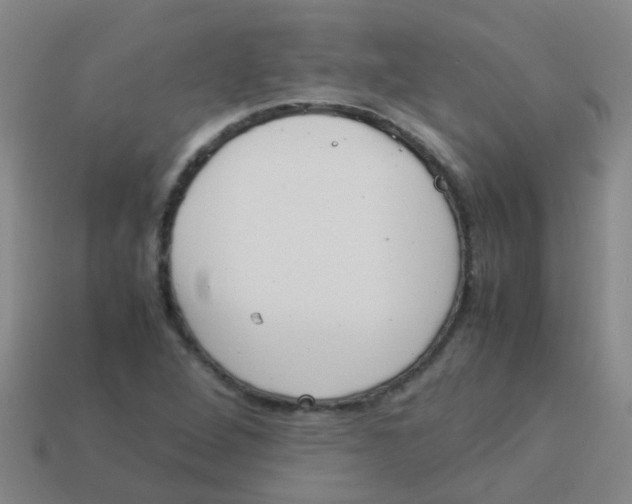 X0000113541264200910161404