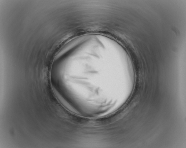 X0000113541265200910161404