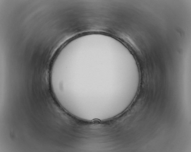 X0000113541268200910161404