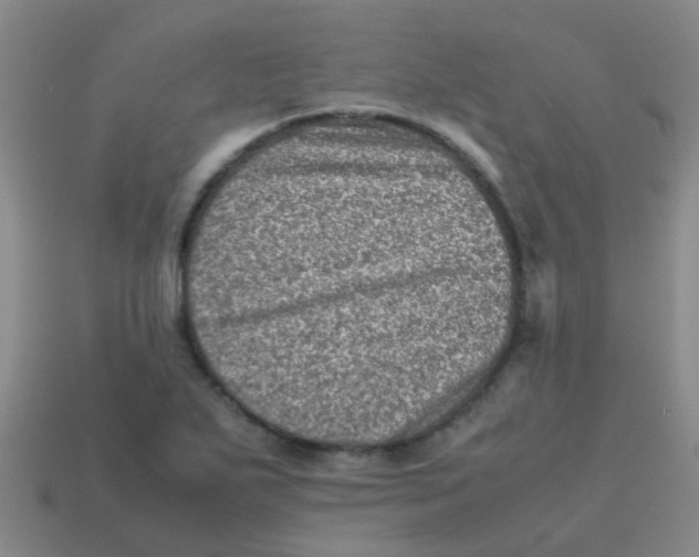 X0000113541271200910161404