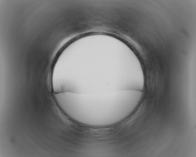X0000113541272200910161404