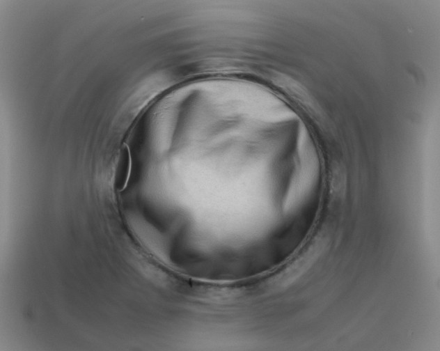 X0000113541273200910161404