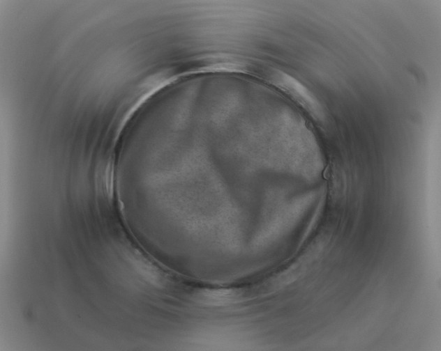 X0000113541276200910161404