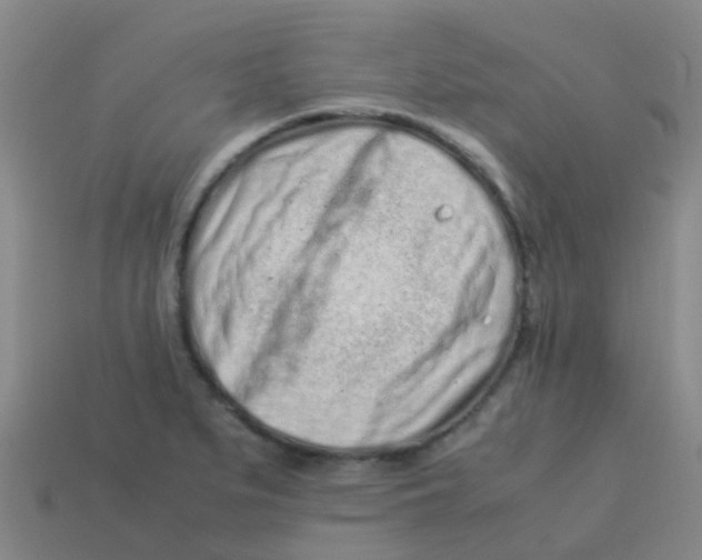 X0000113541279200910161404