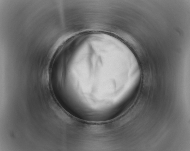 X0000113541280200910161404