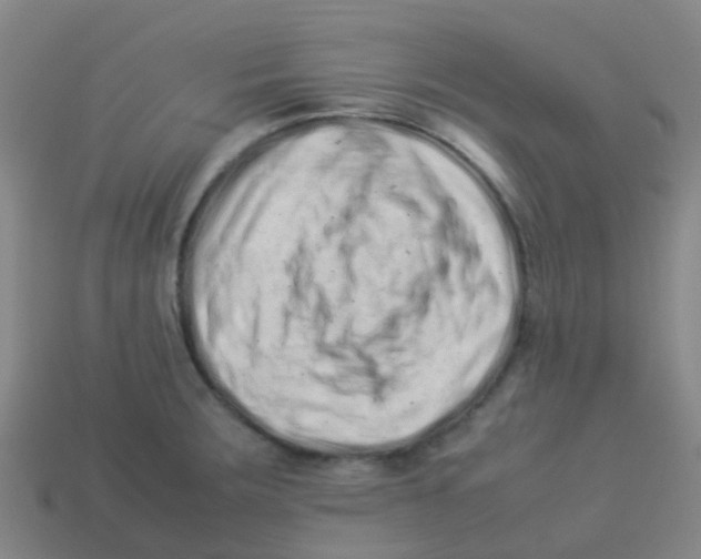 X0000113541283200910161404