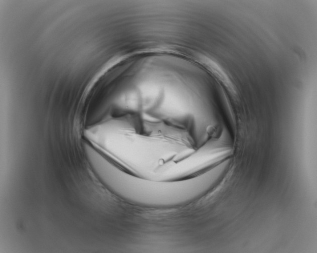 X0000113541284200910161404