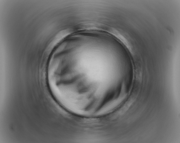 X0000113541285200910161404